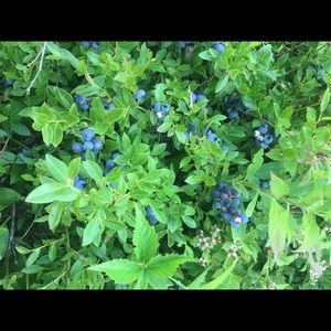 Meet your Posher, Kristin